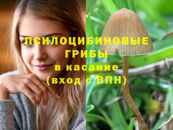 метадон Михайловка