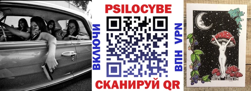 Псилоцибиновые грибы Psilocybine cubensis  Купить  Остров 