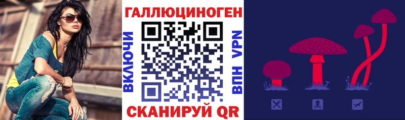 Галлюциногенные грибы Psilocybine cubensis Остров