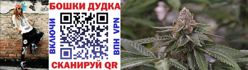 Купить где  Остров  Марихуана гибрид 